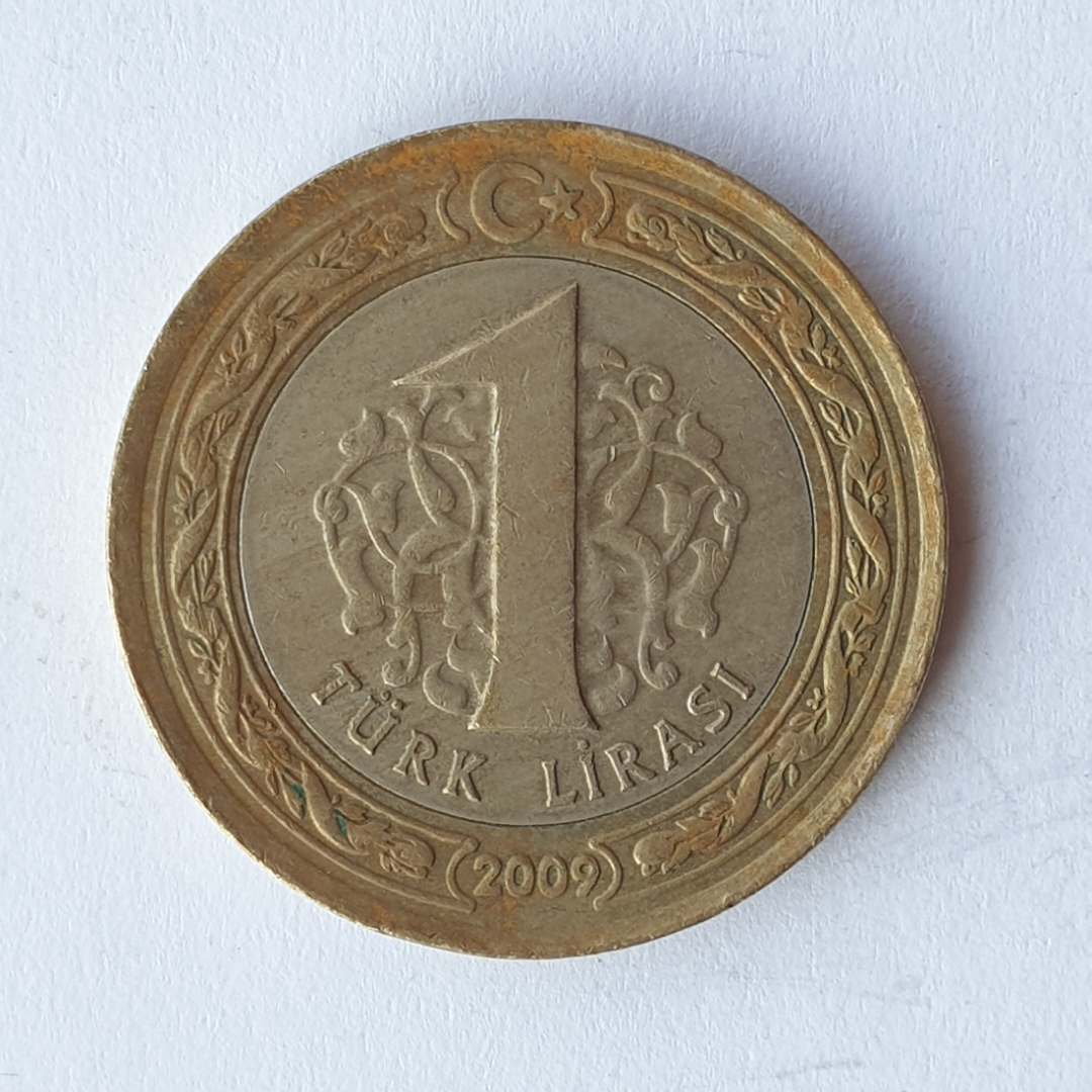 Монета одна лира, Турция, 2009г.. Картинка 1